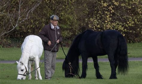 fell pony england hermes|queen elizabeth ii pony.